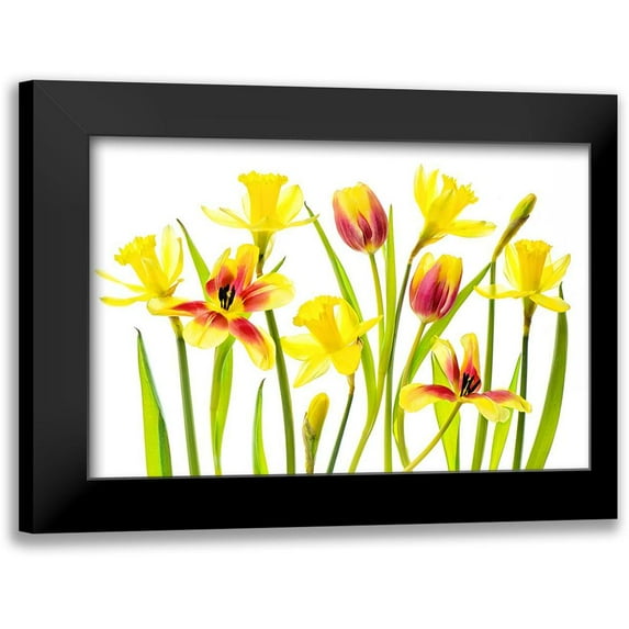 Parker, Jacky 24x17 Black Modern Framed Museum Art Print Titled - Vibrant Spring