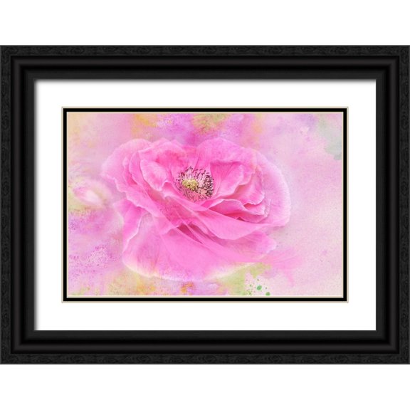 Parker, Jacky 32x23 Black Ornate Wood Framed with Double Matting Museum Art Print Titled - Twirl