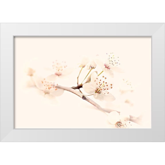 Parker, Jacky 32x23 White Modern Wood Framed Museum Art Print Titled - Harmony Of Spring