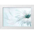 thumbnail image 1 of Parker, Jacky 32x23 White Modern Wood Framed Museum Art Print Titled - Purity, 1 of 4