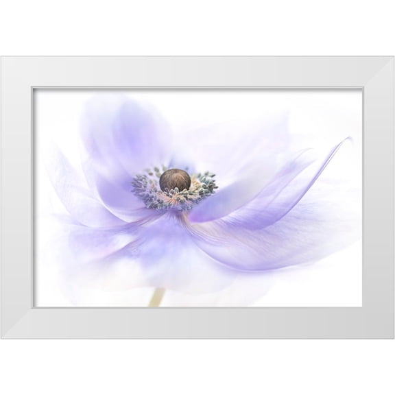 Parker, Jacky 32x23 White Modern Wood Framed Museum Art Print Titled - Summer Breeze