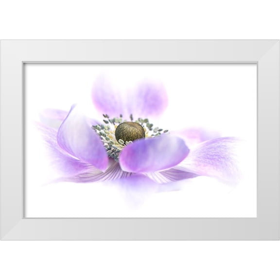 Parker, Jacky 32x23 White Modern Wood Framed Museum Art Print Titled - Voile