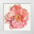 thumbnail image 1 of Parker, Jennifer Paxton 12x12 White Modern Wood Framed Museum Art Print Titled - Blossomed Peony I, 1 of 4
