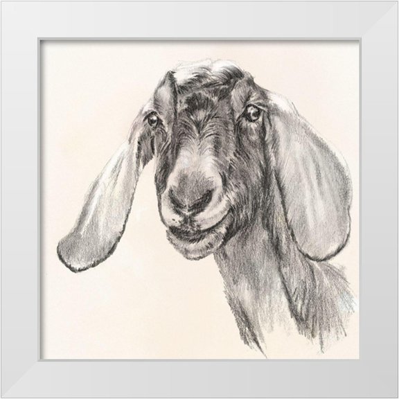 Parker, Jennifer Paxton 12x12 White Modern Wood Framed Museum Art Print Titled - Farm Portrait I