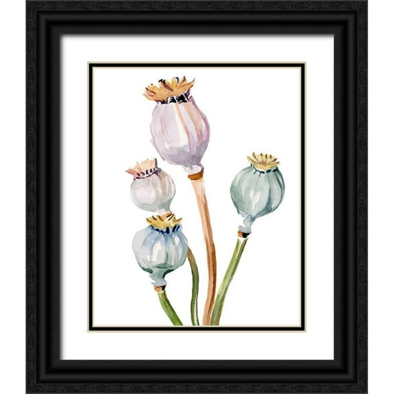 Parker, Jennifer Paxton 12x14 Black Ornate Wood Framed with Double Matting Museum Art Print Titled - Watercolor Poppy Pods II