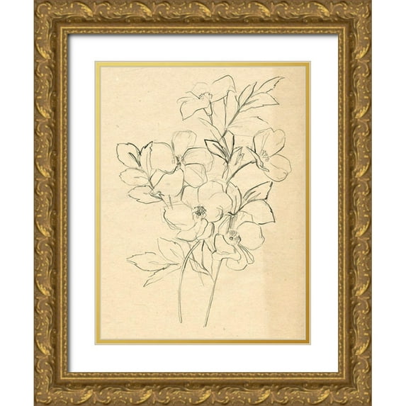 Parker, Jennifer Paxton 12x14 Gold Ornate Wood Framed with Double Matting Museum Art Print Titled - Contour Flower Sketch I