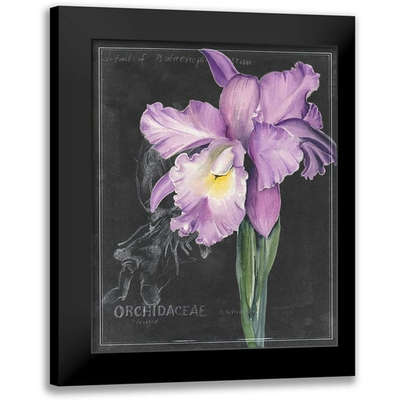 Parker, Jennifer Paxton 15x18 Black Modern Framed Museum Art Print Titled - Chalkboard Flower II