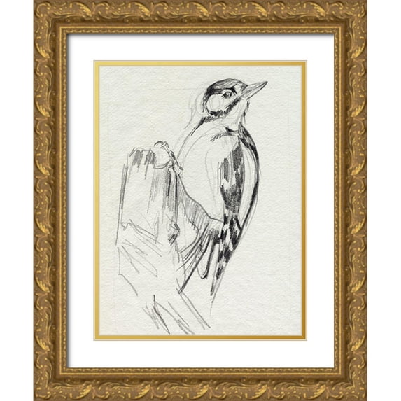 Parker, Jennifer Paxton 15x18 Gold Ornate Wood Framed with Double Matting Museum Art Print Titled - Woodpecker Sketch II