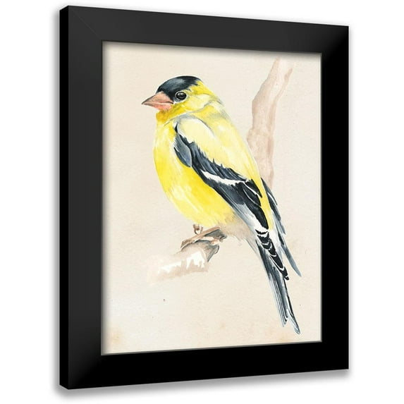 Parker, Jennifer Paxton 19x24 Black Modern Framed Museum Art Print Titled - Little Bird on Branch III