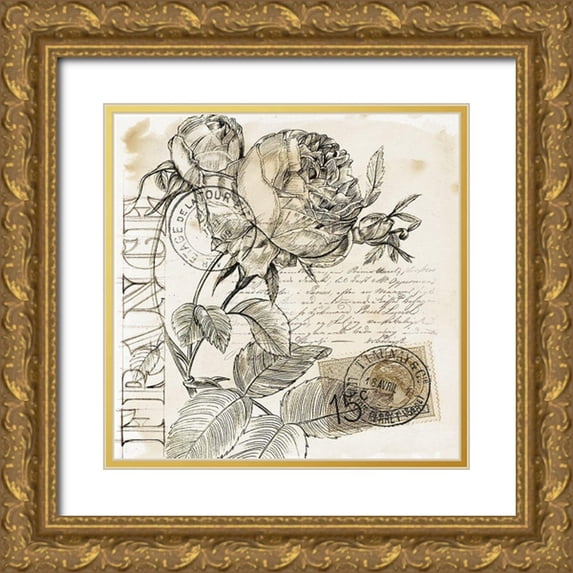 Parker, Jennifer Paxton 20x20 Gold Ornate Wood Framed with Double Matting Museum Art Print Titled - Rose Romance IV