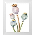 thumbnail image 1 of Parker, Jennifer Paxton 20x24 White Modern Wood Framed Museum Art Print Titled - Watercolor Poppy Pods II, 1 of 4