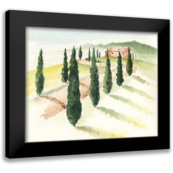 Parker, Jennifer Paxton 24x20 Black Modern Framed Museum Art Print Titled - Tuscan Villa IV