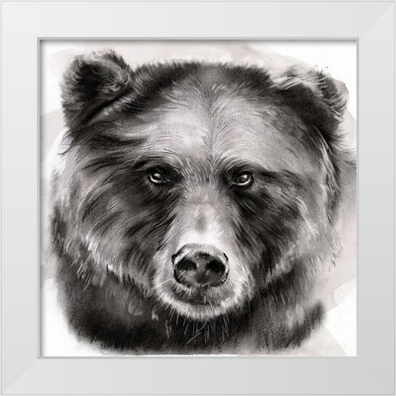 Parker, Jennifer Paxton 26x26 White Modern Wood Framed Museum Art Print Titled - Bear Grin I