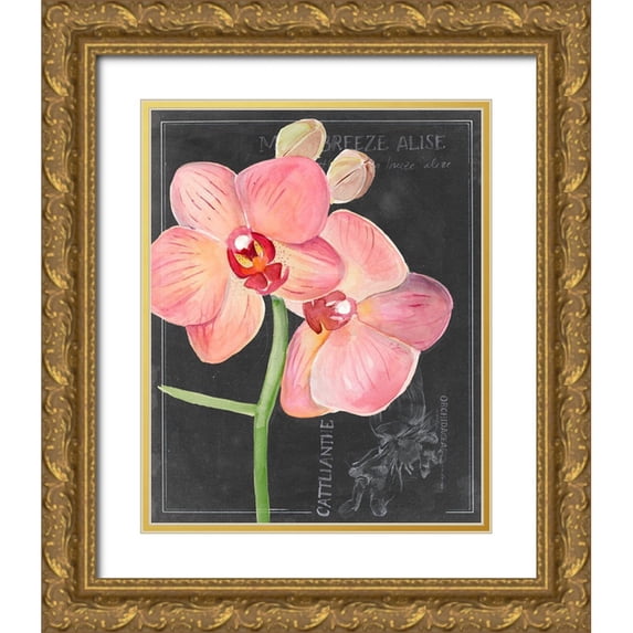 Parker, Jennifer Paxton 26x32 Gold Ornate Wood Framed with Double Matting Museum Art Print Titled - Chalkboard Flower I