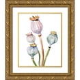 thumbnail image 1 of Parker, Jennifer Paxton 26x32 Gold Ornate Wood Framed with Double Matting Museum Art Print Titled - Watercolor Poppy Pods II, 1 of 4