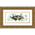 thumbnail image 1 of Parker, Jennifer Paxton 32x16 Gold Ornate Wood Framed with Double Matting Museum Art Print Titled - Watercolor Butterfly Collection D, 1 of 4