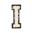 thumbnail image 1 of Parker Kids Co. Hook & Loop Patch - Letter I, 1 of 5