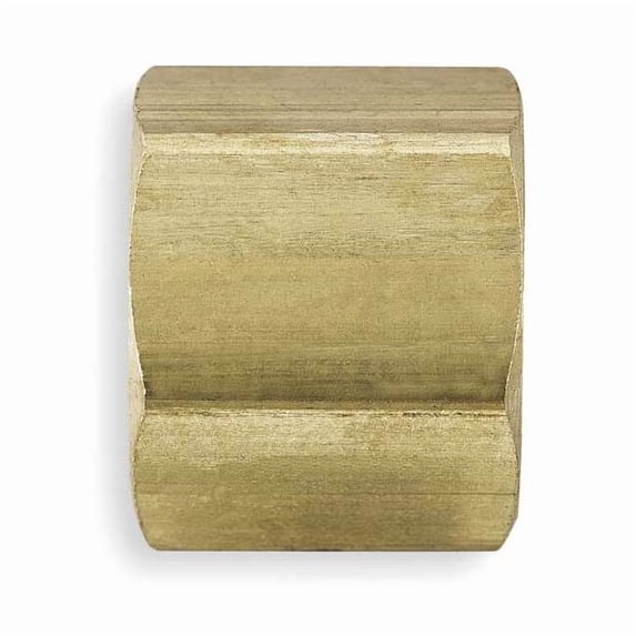 Parker 5/8" Compression Brass Nut 10PK 61C-10