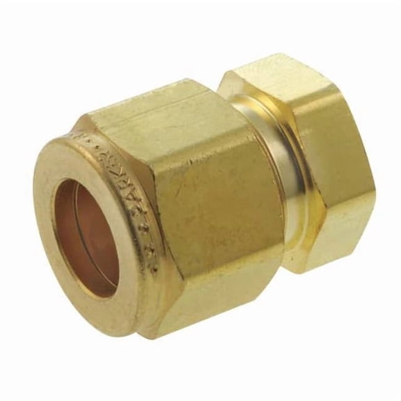 Parker 1" Compression Brass Plug 16BLEN16-B