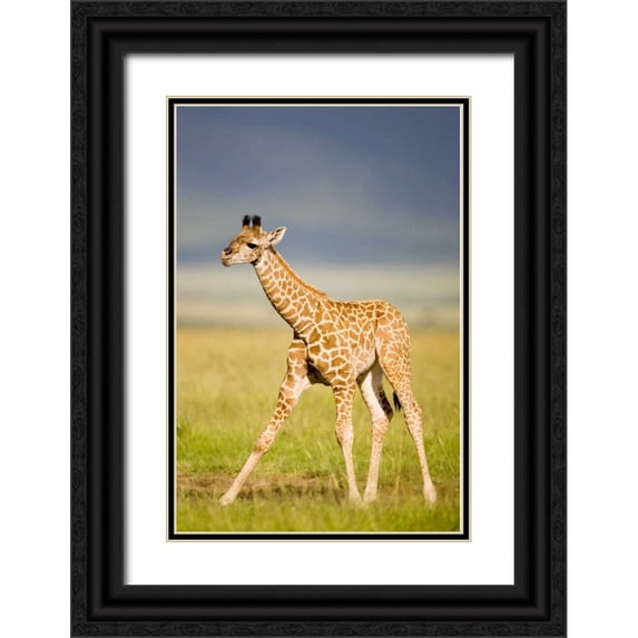 Parker, Susann 11x14 Black Ornate Wood Framed with Double Matting Museum Art Print Titled - First Steps