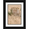 thumbnail image 1 of Parker, Susann 11x14 Black Ornate Wood Framed with Double Matting Museum Art Print Titled - Three of a Kind, 1 of 4