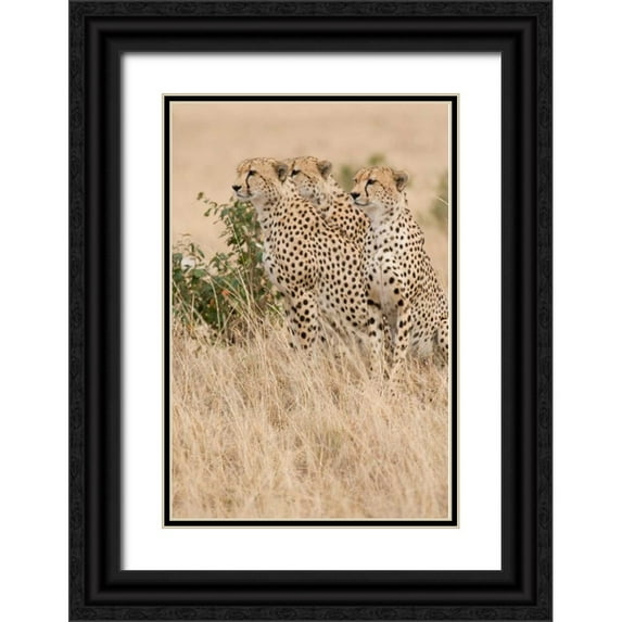 Parker, Susann 11x14 Black Ornate Wood Framed with Double Matting Museum Art Print Titled - Three of a Kind