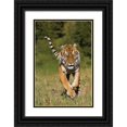 thumbnail image 1 of Parker, Susann 11x14 Black Ornate Wood Framed with Double Matting Museum Art Print Titled - Tiger Run, 1 of 4