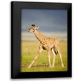thumbnail image 1 of Parker, Susann 13x18 Black Modern Framed Museum Art Print Titled - First Steps, 1 of 5