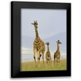 thumbnail image 1 of Parker, Susann 13x18 Black Modern Framed Museum Art Print Titled - Savannah Strut, 1 of 5