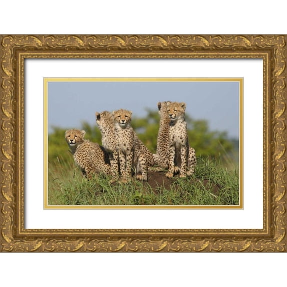 Parker, Susann 14x10 Gold Ornate Wood Framed with Double Matting Museum Art Print Titled - The Tribe