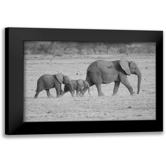 Parker, Susann 14x11 Black Modern Framed Museum Art Print Titled - Memory Lane