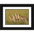 thumbnail image 1 of Parker, Susann 14x11 Black Ornate Wood Framed with Double Matting Museum Art Print Titled - Four of a Kind, 1 of 4