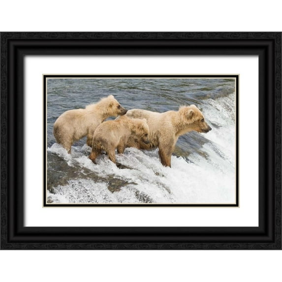 Parker, Susann 18x13 Black Ornate Wood Framed with Double Matting Museum Art Print Titled - Day at the Falls