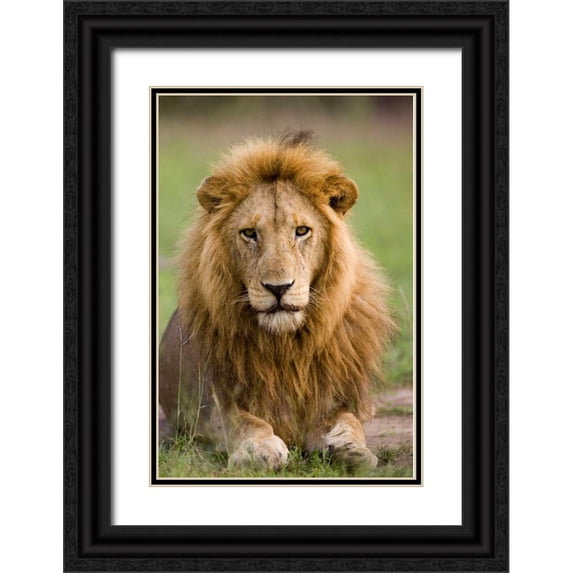 Parker, Susann 23x32 Black Ornate Wood Framed with Double Matting Museum Art Print Titled - The King