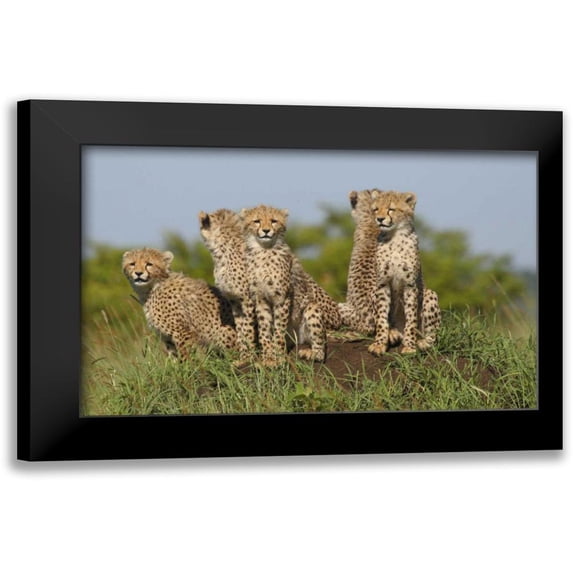 Parker, Susann 24x17 Black Modern Framed Museum Art Print Titled - The Tribe