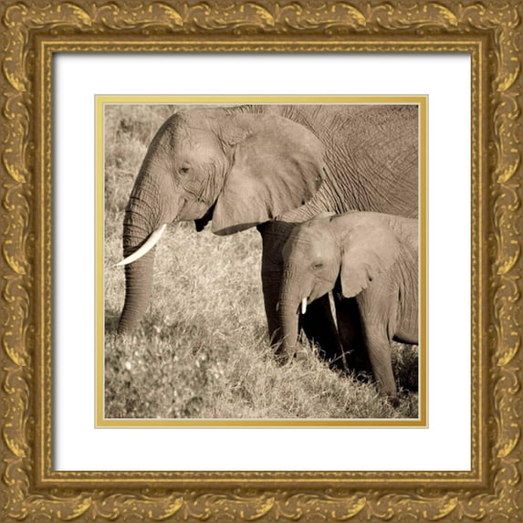 Parker, Susann 26x26 Gold Ornate Wood Framed with Double Matting Museum Art Print Titled - The Ultimate Bonding