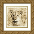 thumbnail image 1 of Parker, Susann 26x26 Gold Ornate Wood Framed with Double Matting Museum Art Print Titled - Young Africa Lion, 1 of 4