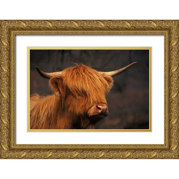 Parker, Susann 32x23 Gold Ornate Wood Framed with Double Matting Museum Art Print Titled - Symbolic of Scotland