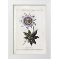 thumbnail image 1 of Parkinson, Thomas 13x18 White Modern Wood Framed Museum Art Print Titled - Passion Flower, 1 of 4