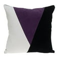 thumbnail image 1 of Parkland Collection Arcas Transitional Multicolor Throw Pillow, 1 of 3