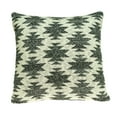 thumbnail image 1 of Parkland Collection Awnee 20x20" Southwest Cotton Throw Pillow in Gray/Beige, 1 of 10