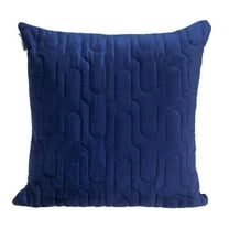 Parkland Collection Basil Transitional Quilted Blue Throw Pillow