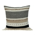 thumbnail image 1 of Parkland Collection Finn Transitional Beige Throw Pillow, 1 of 3