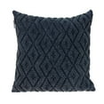thumbnail image 1 of Parkland Collection Sorrel Transitional Navy Throw Pillow, 1 of 7