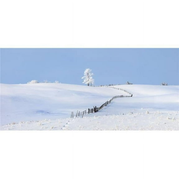 Parkland County - Alberta - Canada - A Tree & Fence In A Snow Covered Field In Winter Poster Print