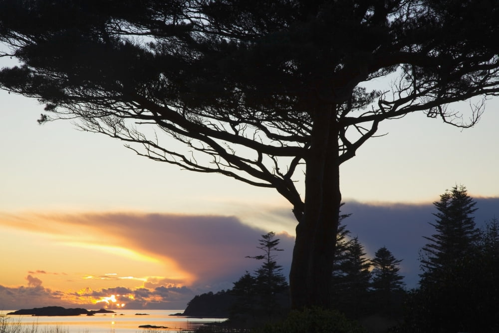 Parknasilla County Kerry Ireland A Sunset Over Kenmare Bay Canvas Art - Peter Zoeller Design Pics (36 x 24)
