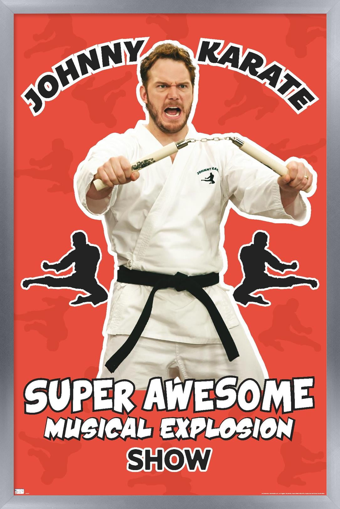 Parks and Recreation - Johnny Karate Wall Poster, 14.725" x 22.375" Framed