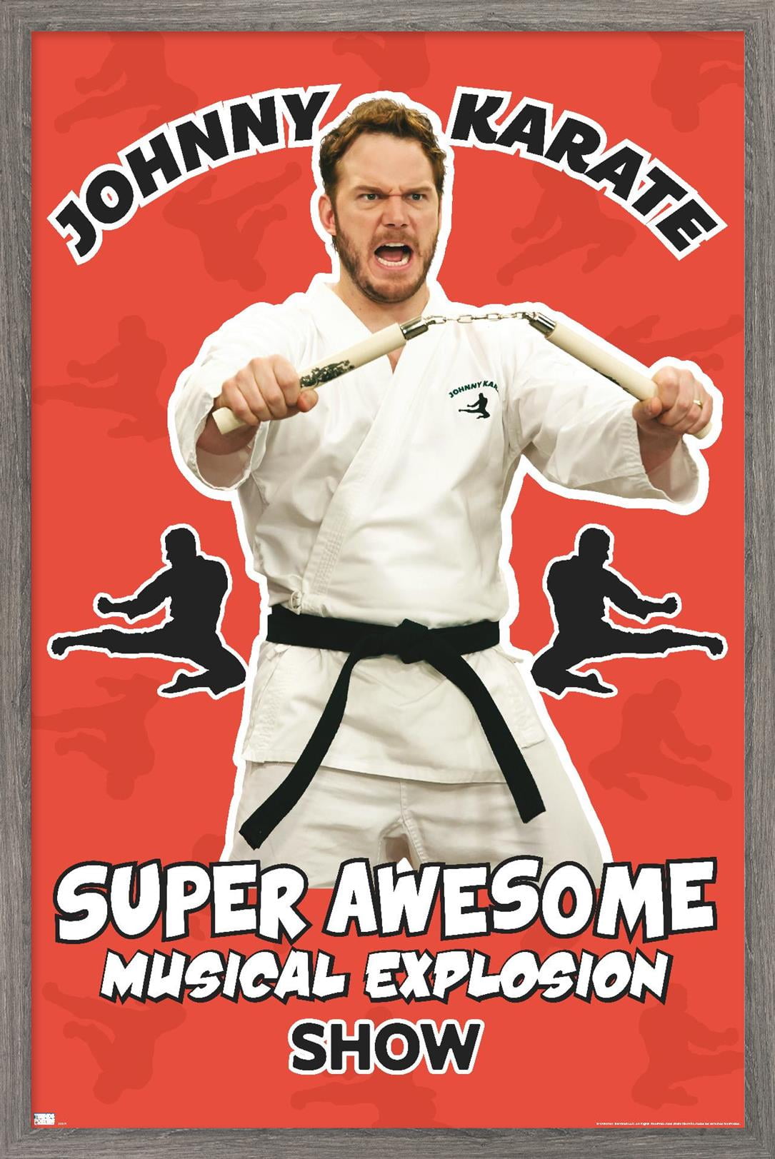 Parks and Recreation - Johnny Karate Wall Poster, 14.725" x 22.375" Framed