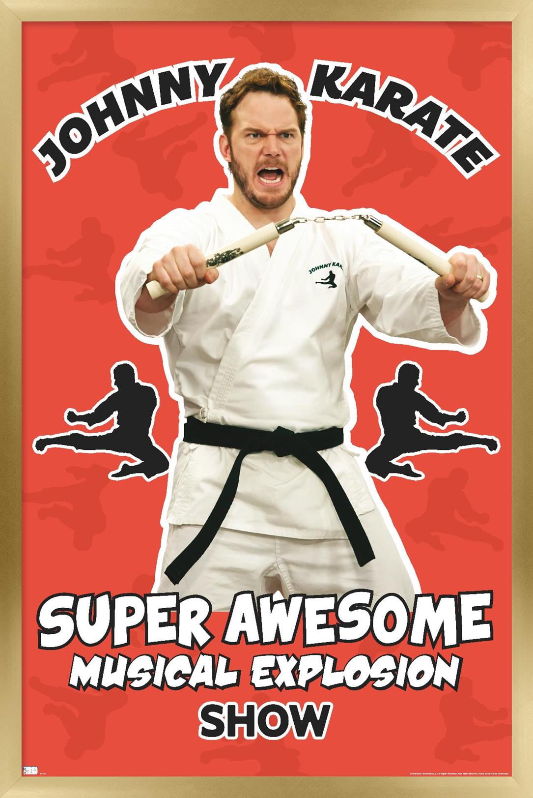 Parks and Recreation - Johnny Karate Wall Poster, 22.375" x 34" Framed