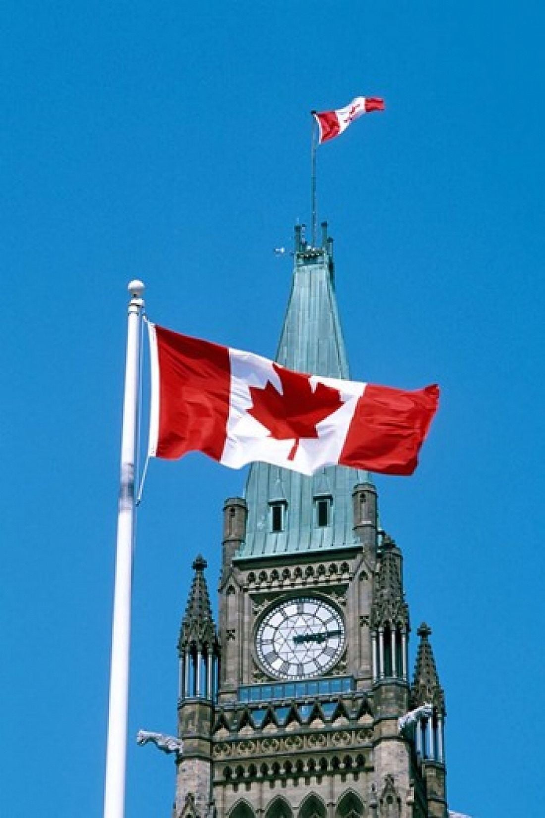 Parliament Hill buildings Canvas Art - Mark Gibson DanitaDelimont (18 x 26)